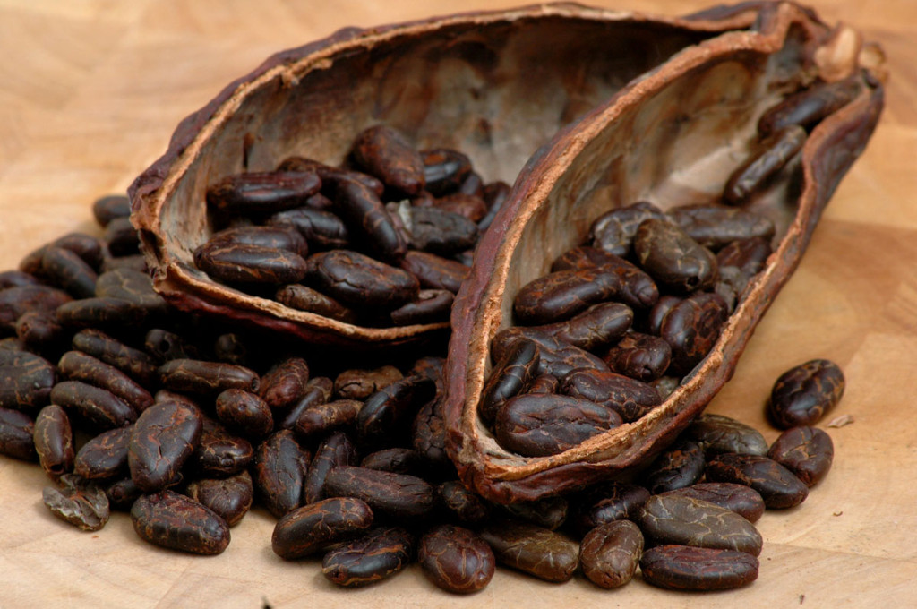 Health News: для борьбы со старением нужно употреблять какао в чистом виде